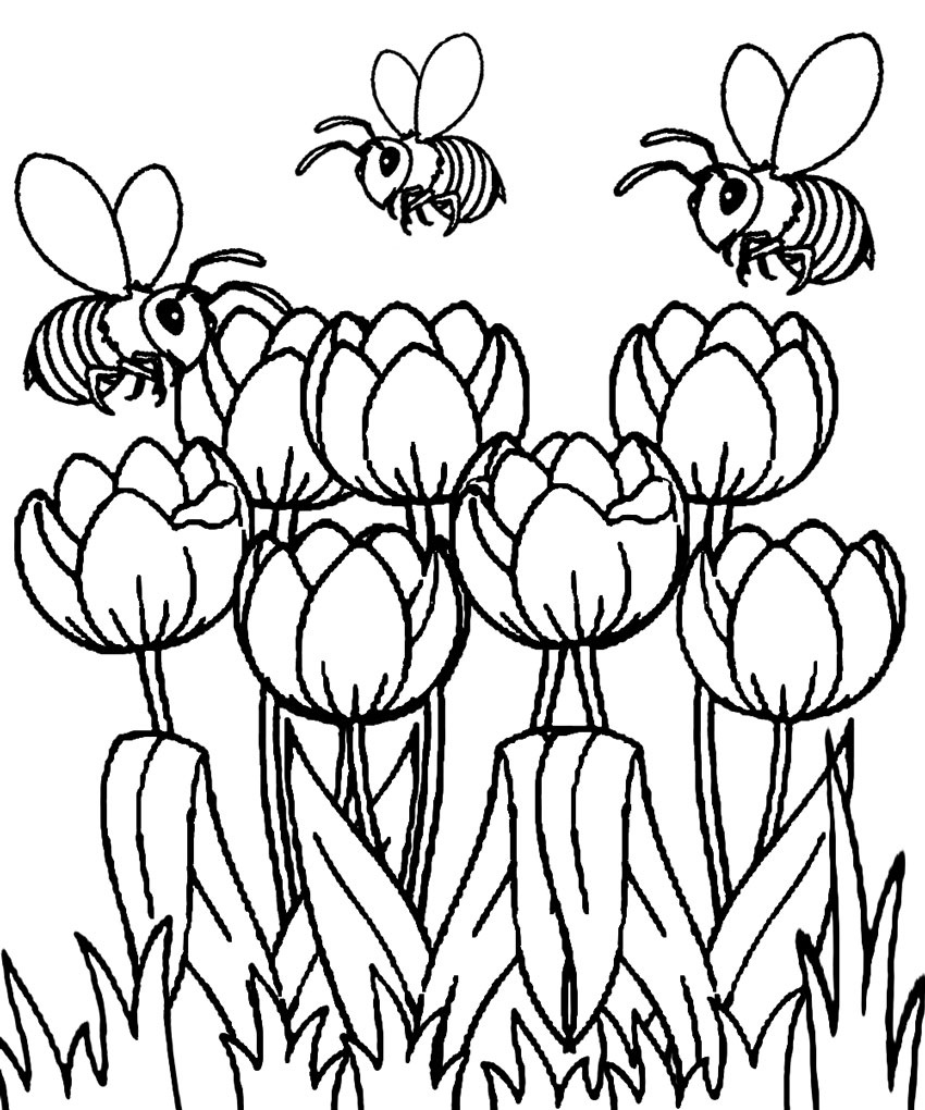 Spring Flowers Free Coloring Pages Pin On Coloring Pages Free 