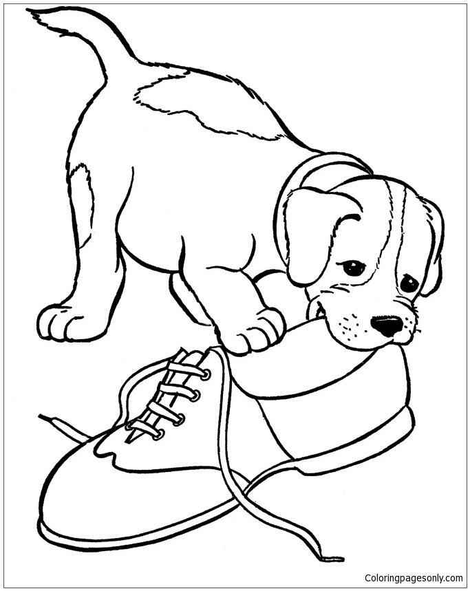 Cute Puppy 10 Coloring Page - Free Coloring Pages Online