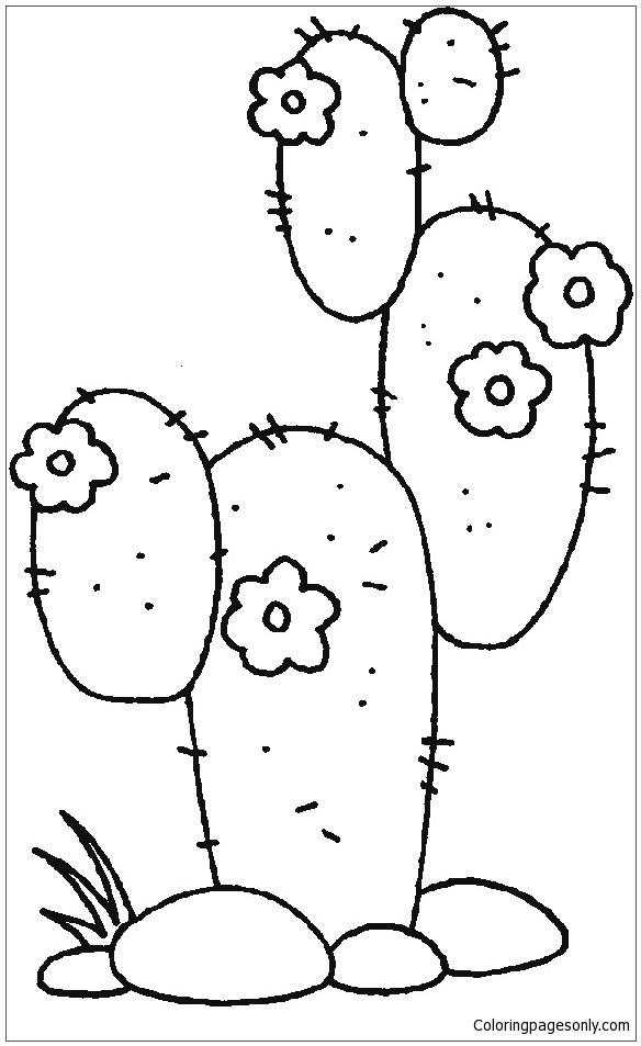 Desert Plants Coloring Page - Free Coloring Pages Online