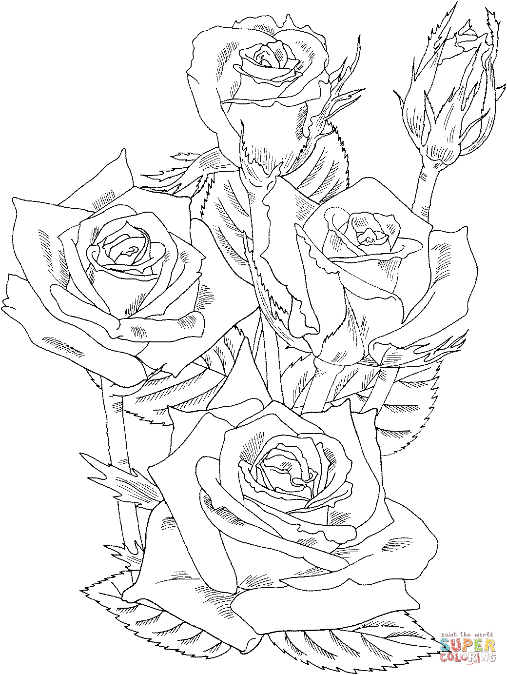 Grandiflora Disegni Da Colorare Di Rose Prominenti Rose Da Colorare