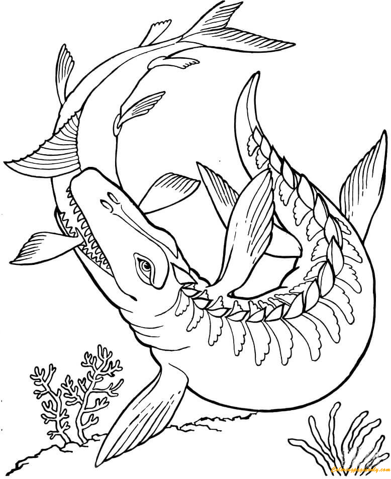 mosasaurus dinosaur coloring page  free coloring pages online