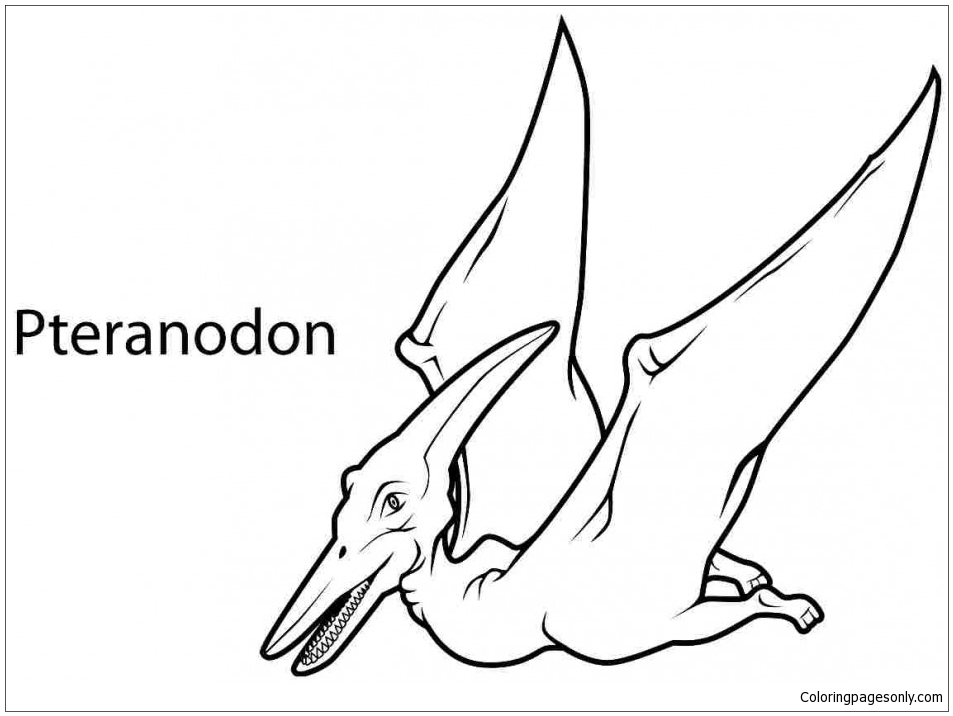 Pteranodon 2 Coloring Page - Free Coloring Pages Online