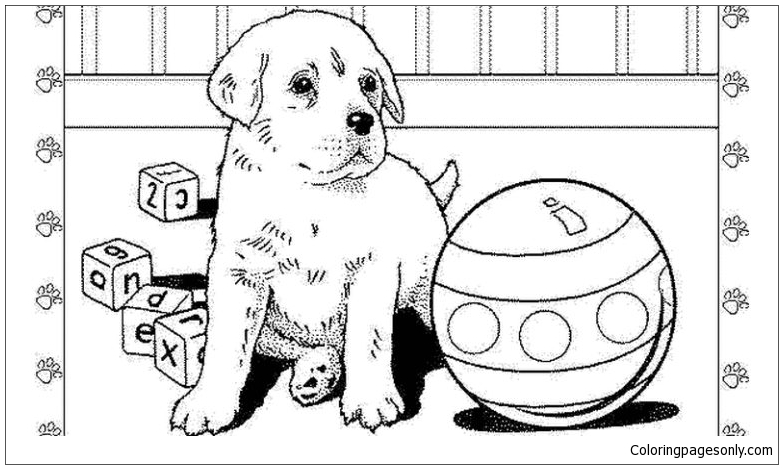 Realistic Puppy Coloring Page - Free Coloring Pages Online