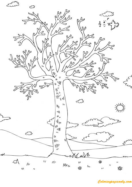 Spring Tree With Leaves And Blossoms Coloring Page - Free Coloring