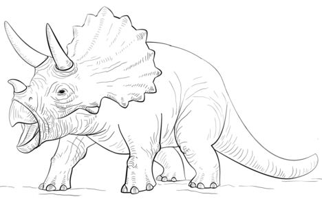 triceratops coloring pages - coloringpagesonly