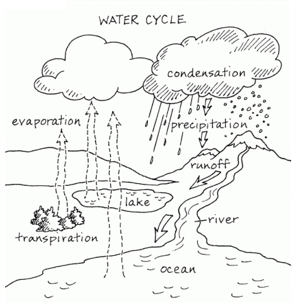 Within Water Cycle Coloring Page Free Coloring Pages Online