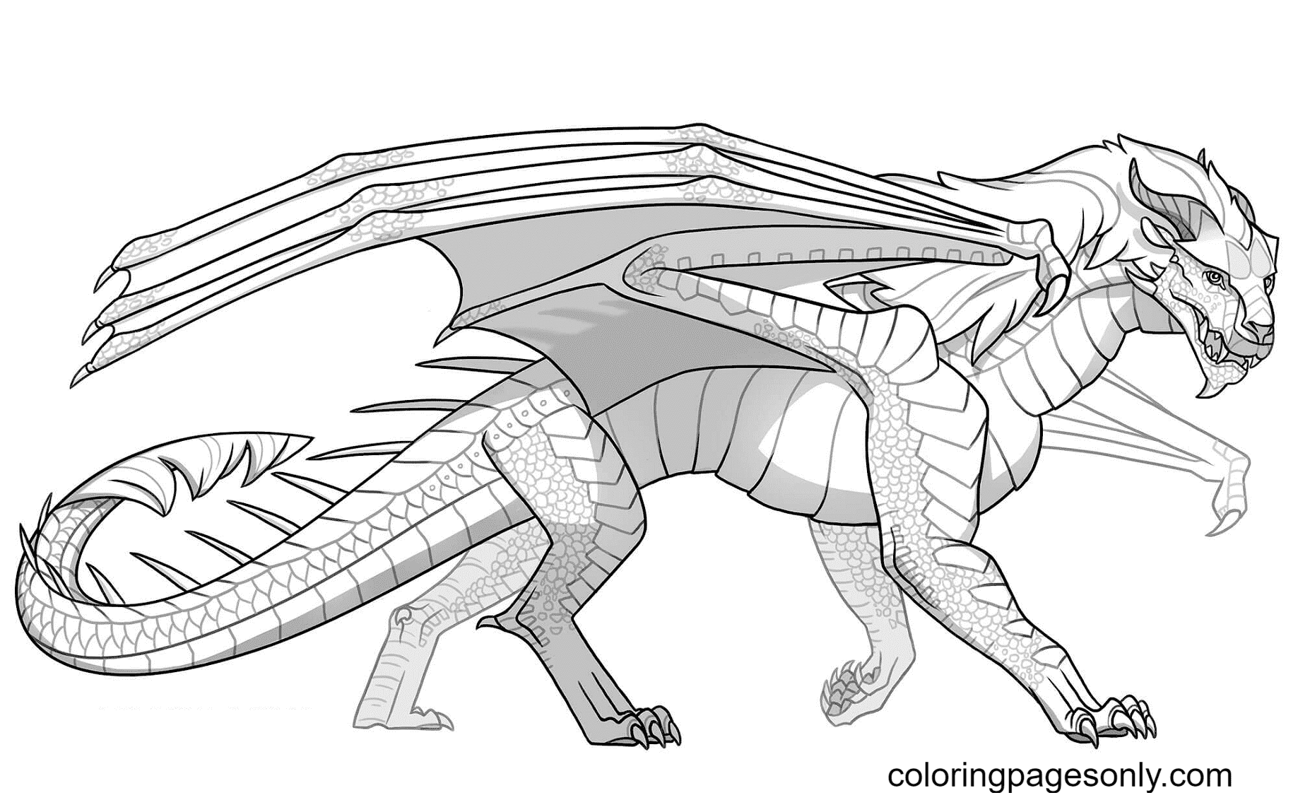 Icewing Dragon Coloring Pages Wings Of Fire Coloring Pages Coloring