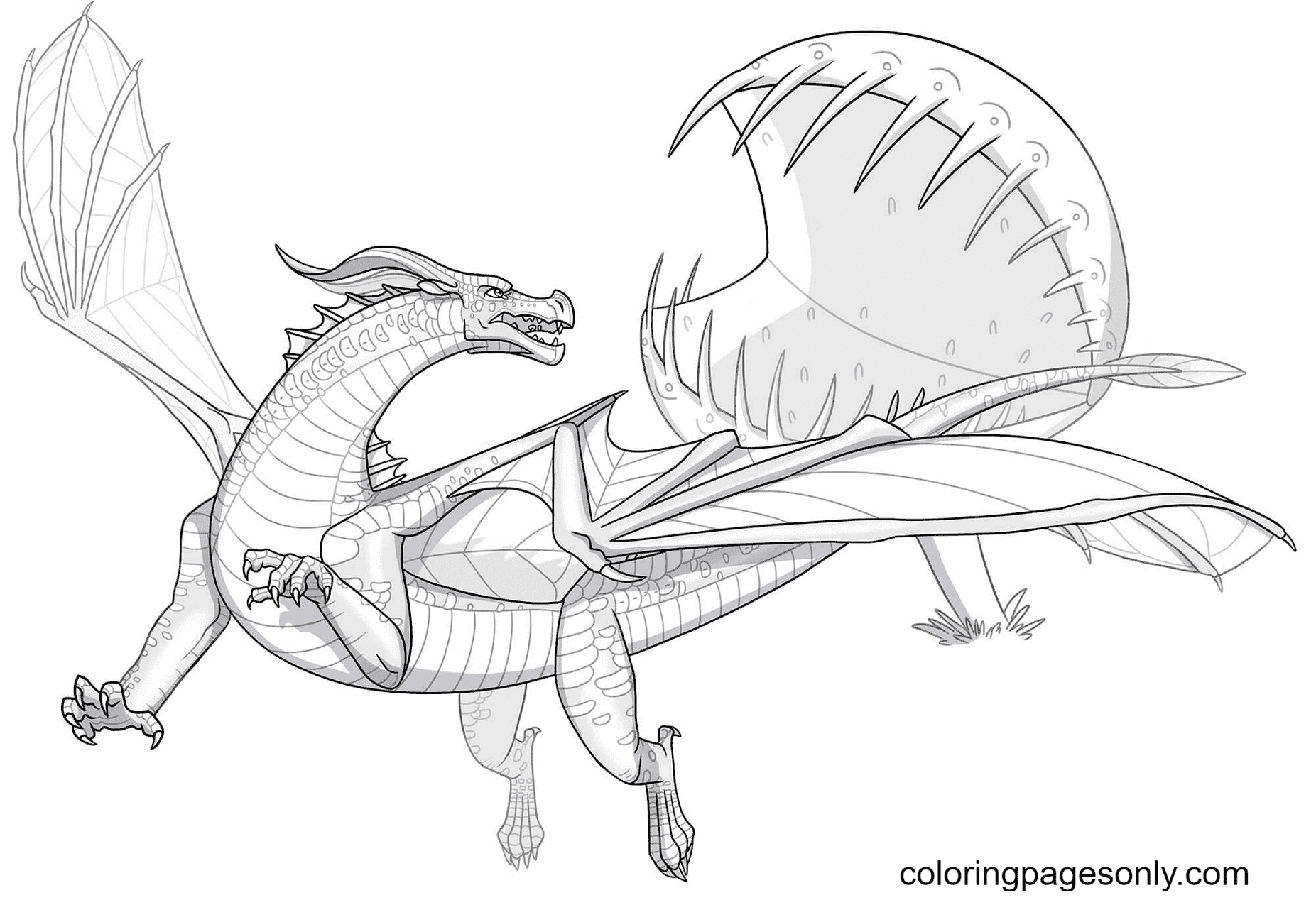 Leafwing Dragon Coloring Pages Wings Of Fire Coloring Pages Porn Sex