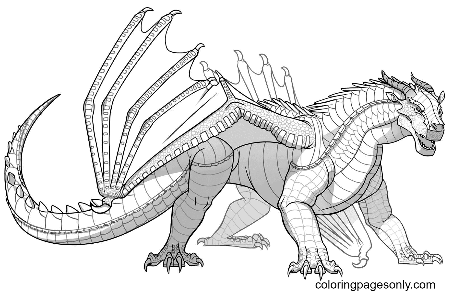 Wings Of Fire Dragon Coloring Pages Mudwing Dragon From Wings Of Porn