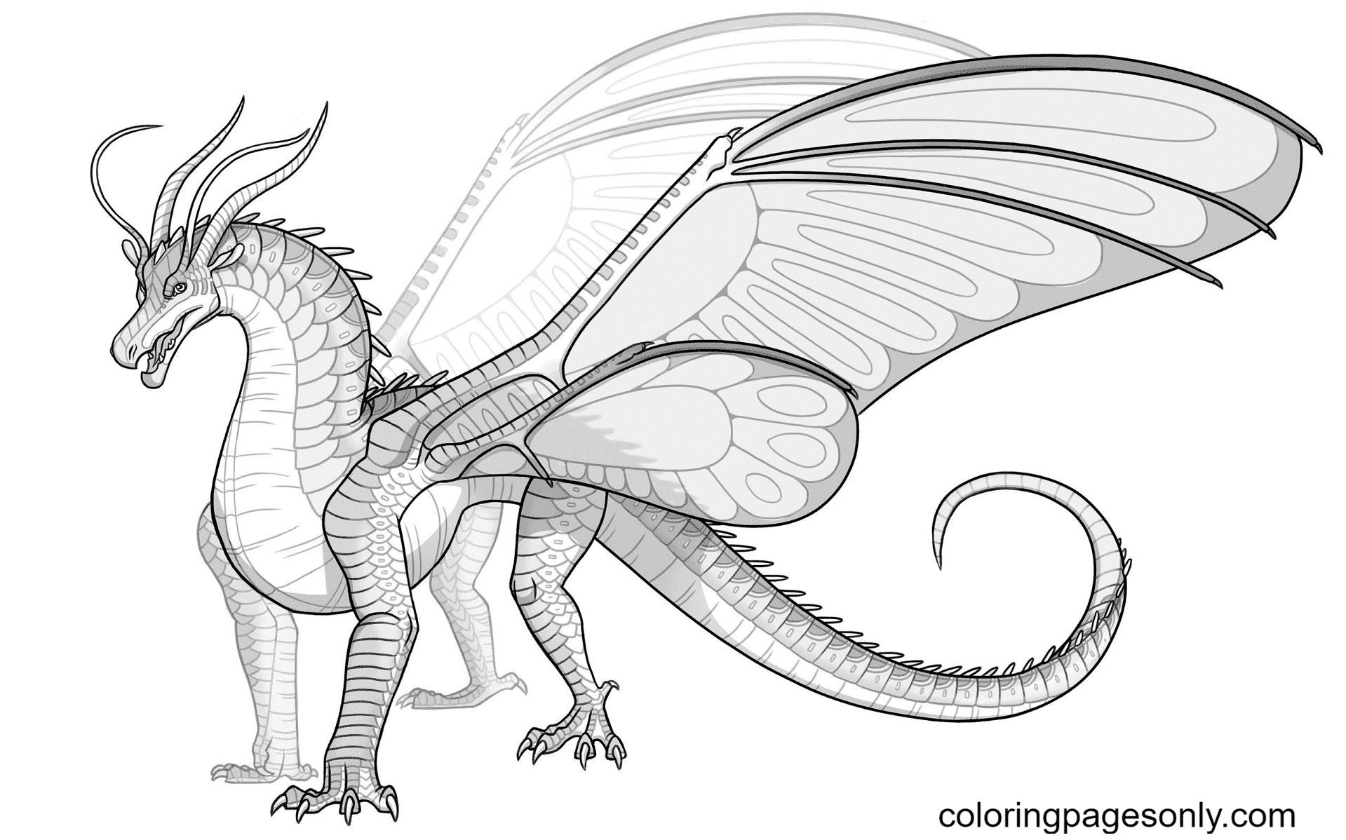 Silkwing Dragon From Wings Of Fire Coloring Page Free Printable Coloring Pages
