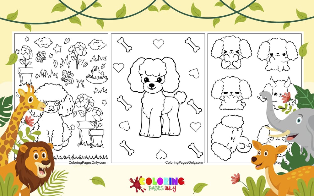 Poodle