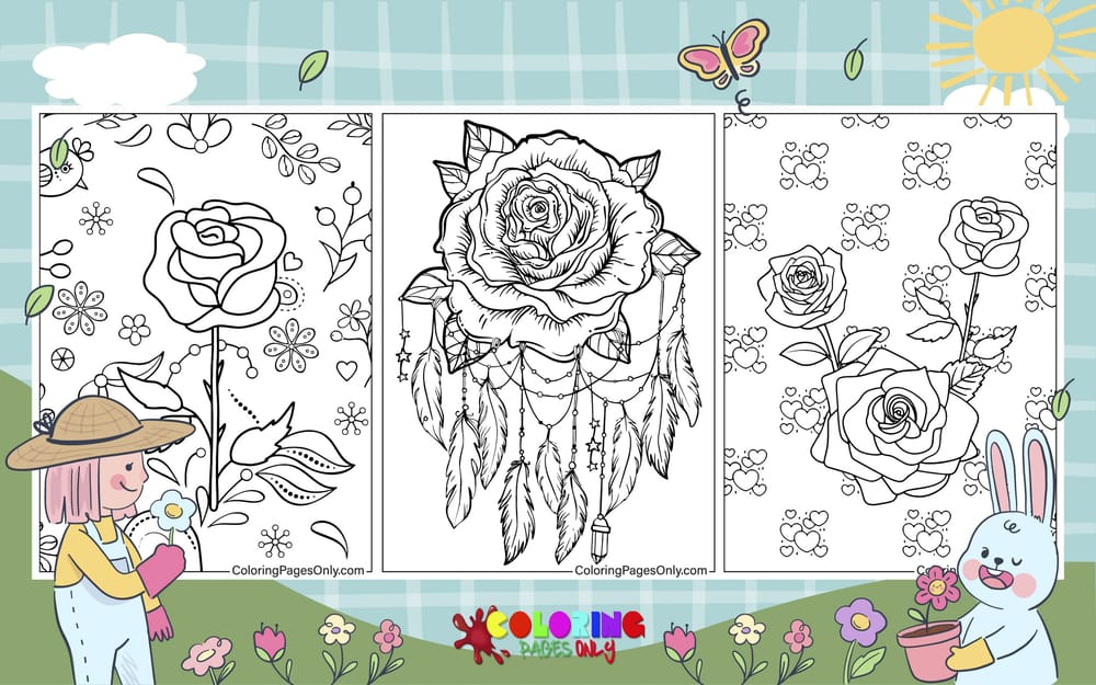 Rose