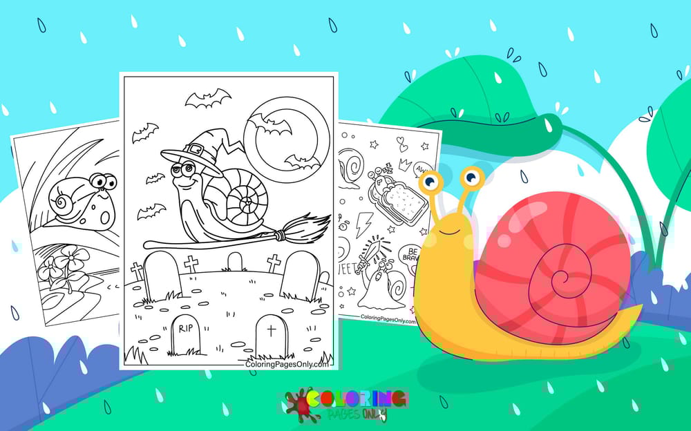 Snail