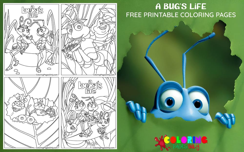 A Bug's Life