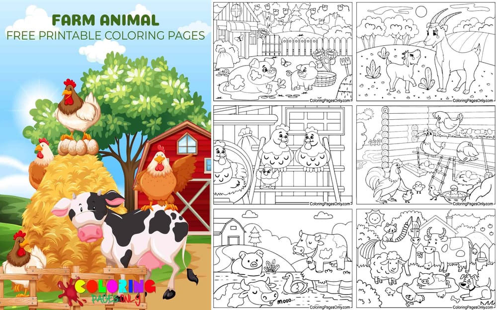 Farm Animal
