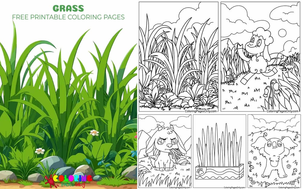 Grass