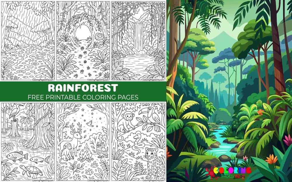 Rainforest