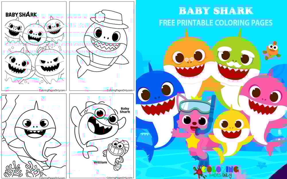Baby Shark