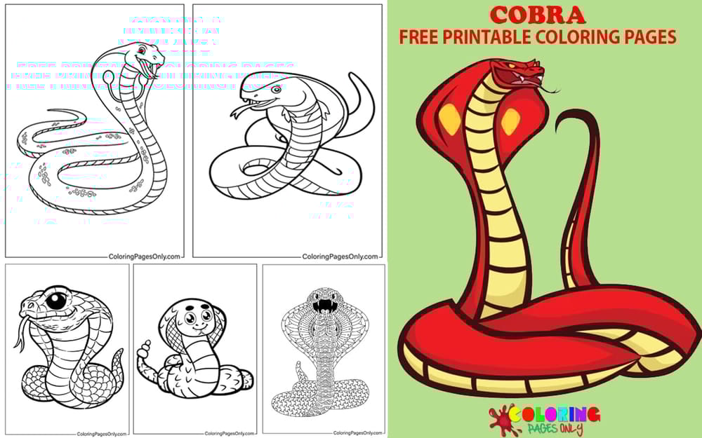 Cobra