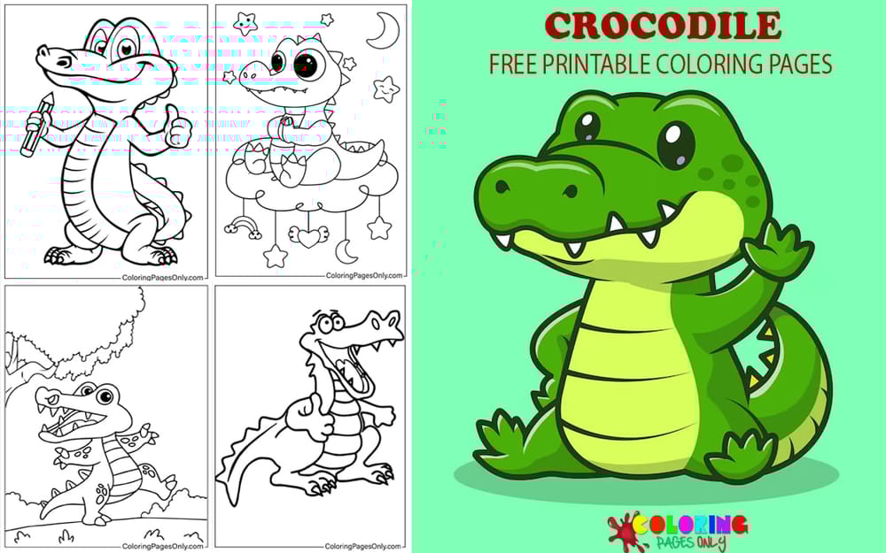 Crocodile