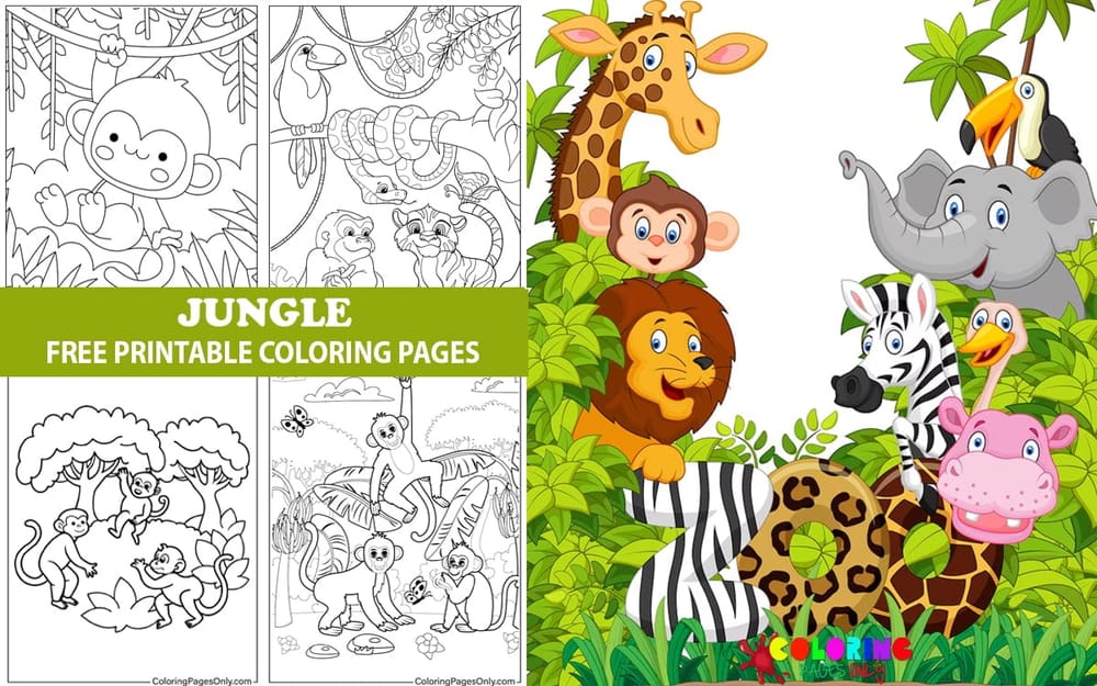 Jungle