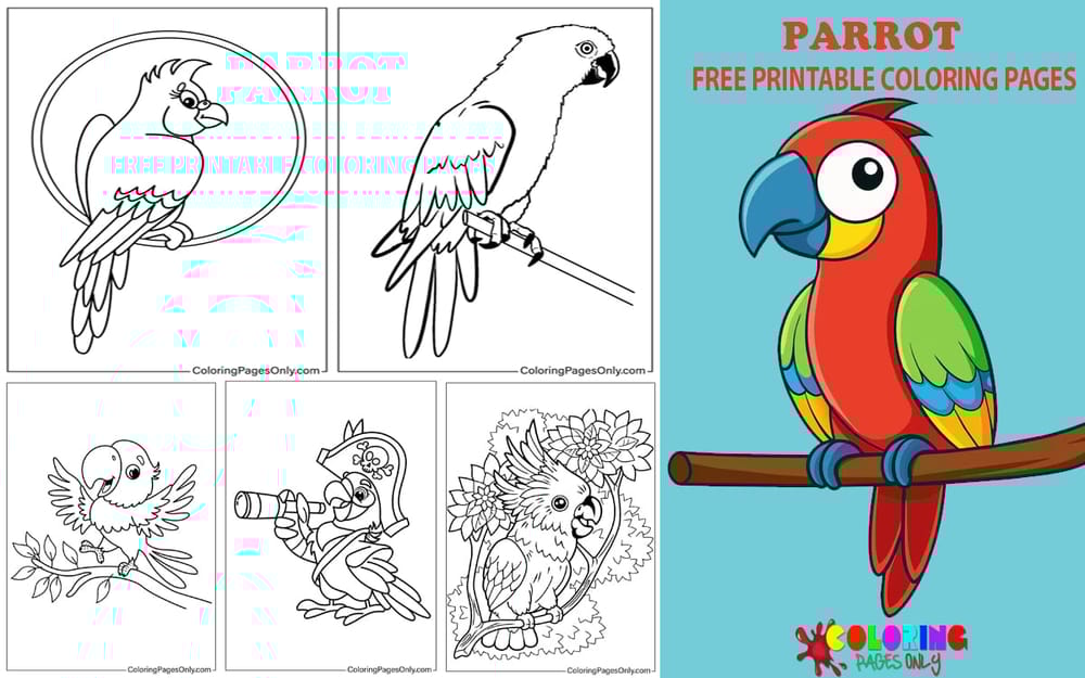 Parrot