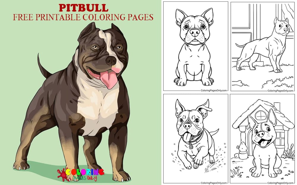 Pitbull