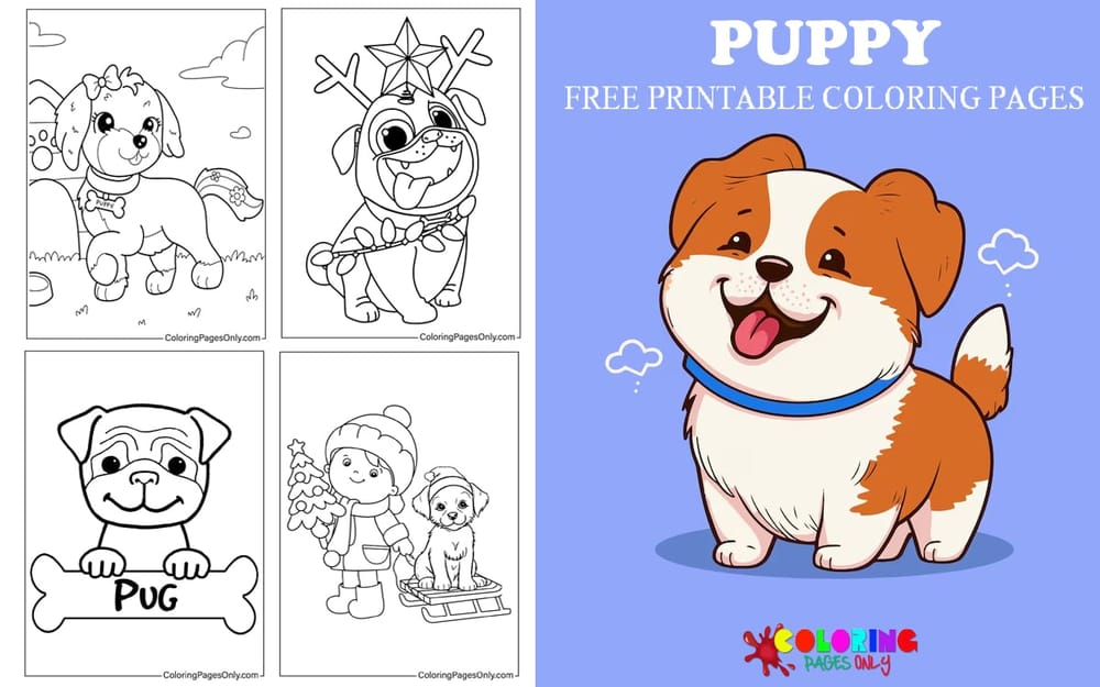 Puppy