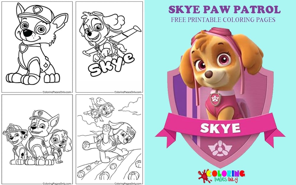 Skye Paw Patrol