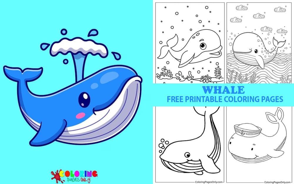 Whale