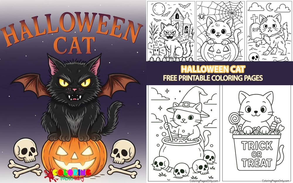 Halloween Cat