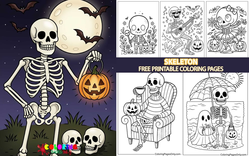 Skeleton