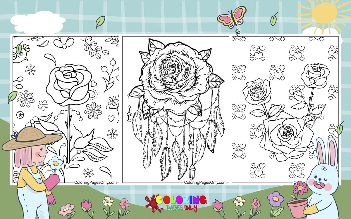 Rose