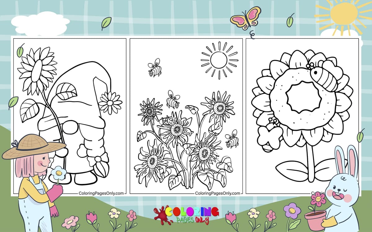 Sunflower