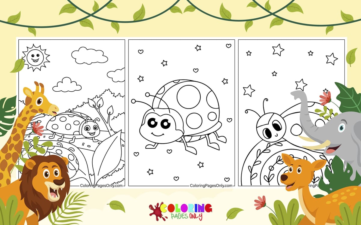 Ladybug