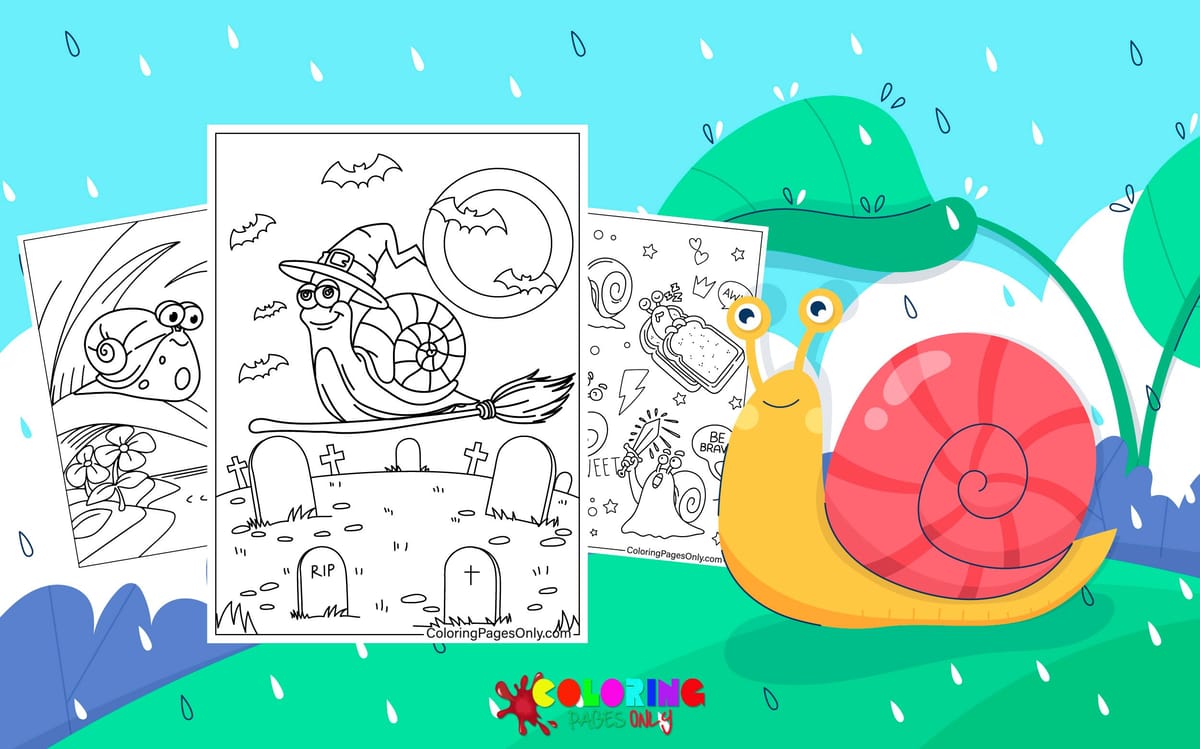 Snail