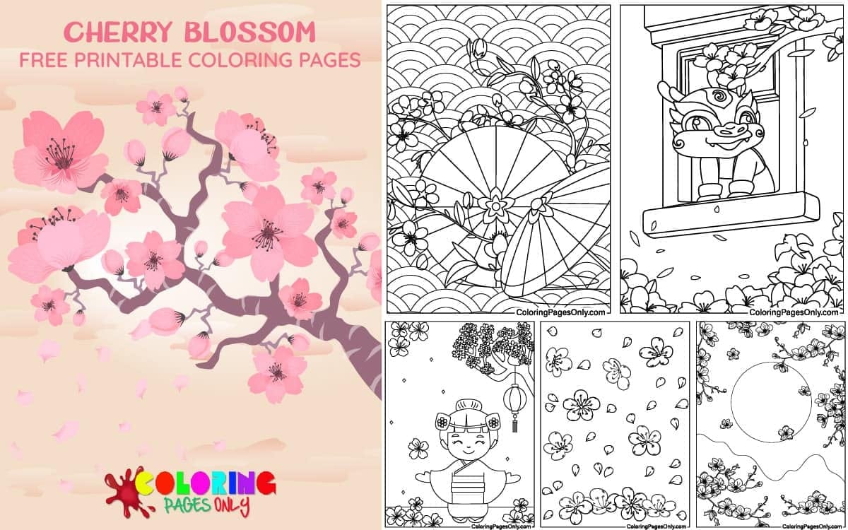 Cherry Blossom