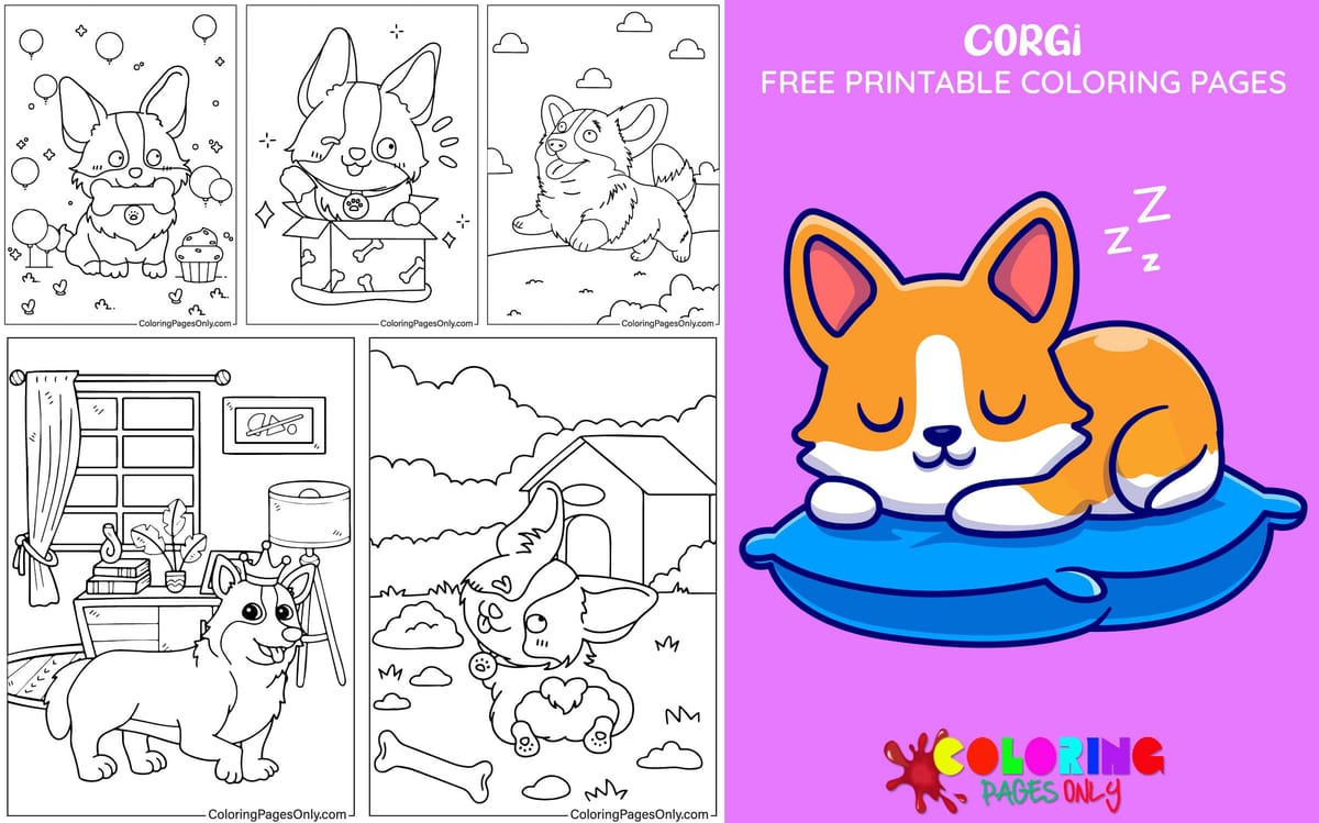Corgi