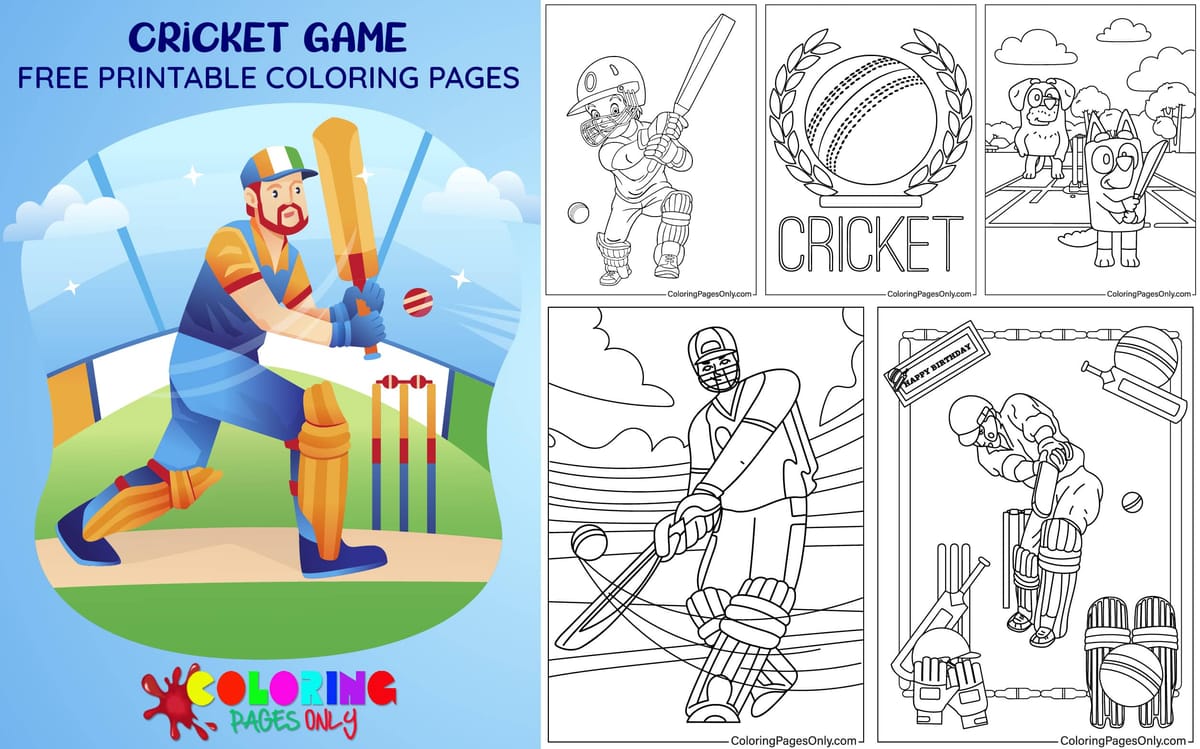 Cricket Game
