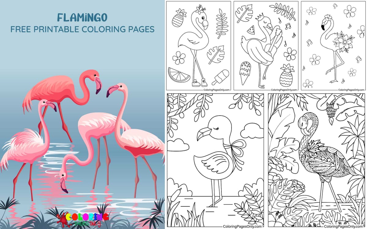 Flamingo
