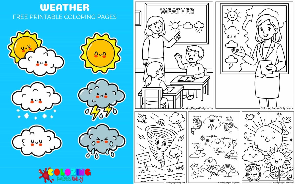 Weather