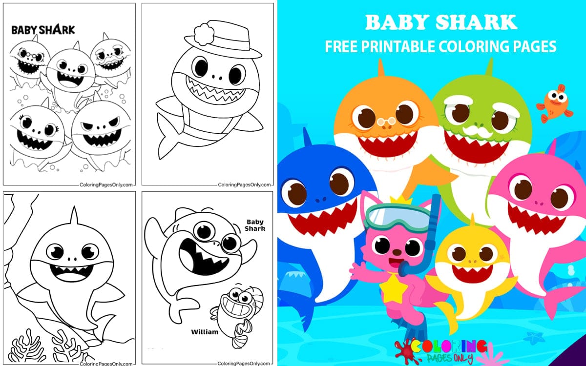 Baby Shark