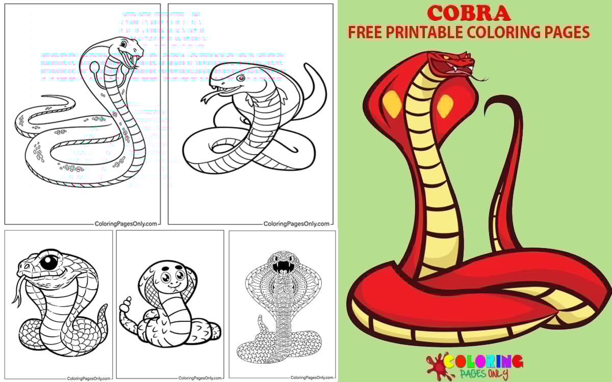 Cobra