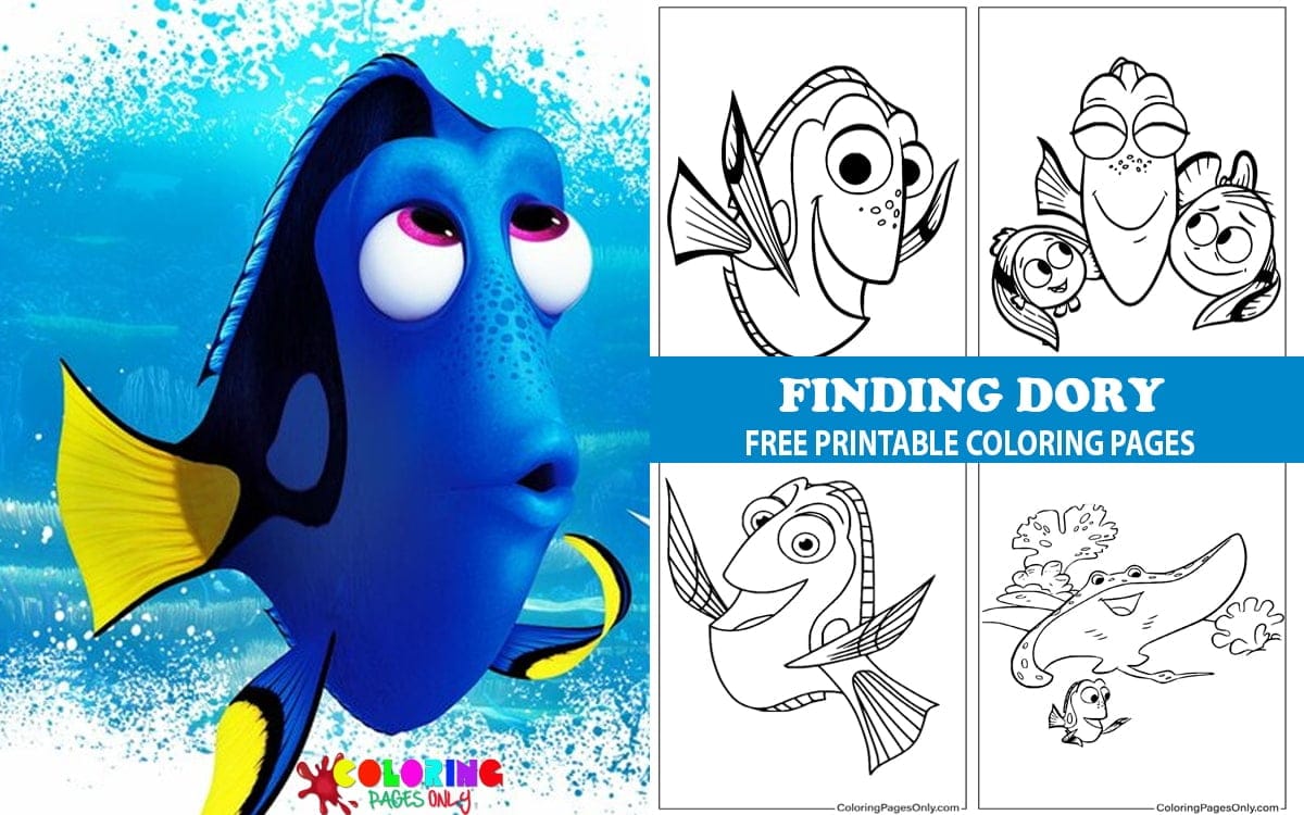 Finding Dory