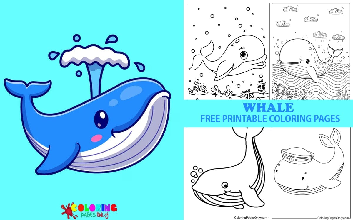 Whale