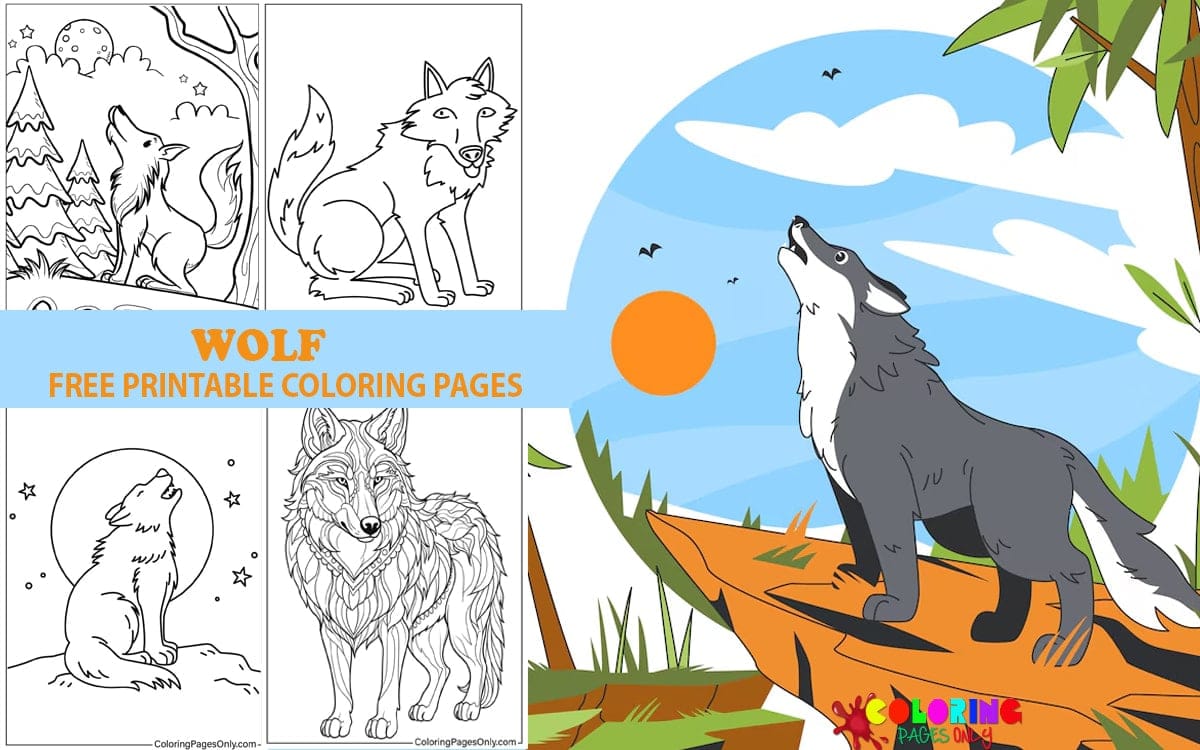 Wolf