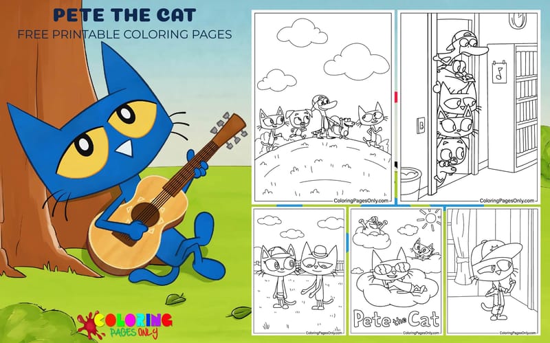 Pete The Cat