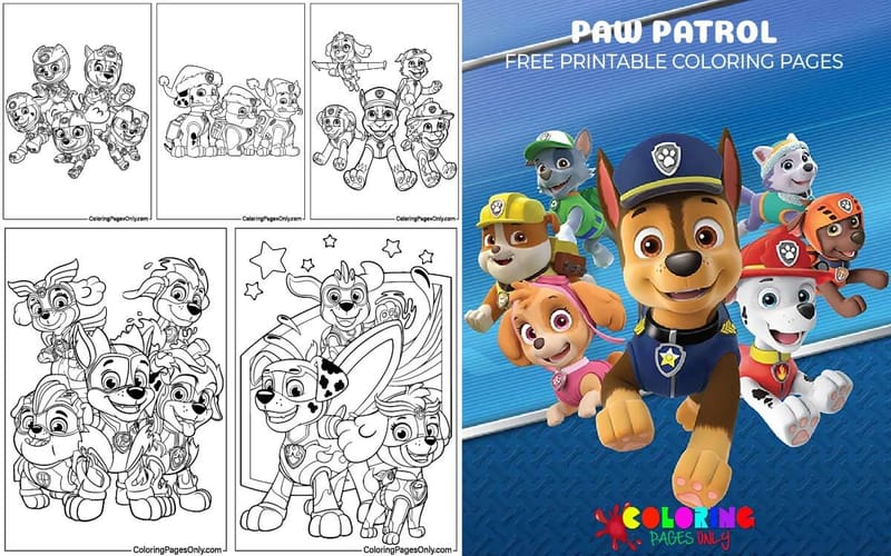 Paw Patrol