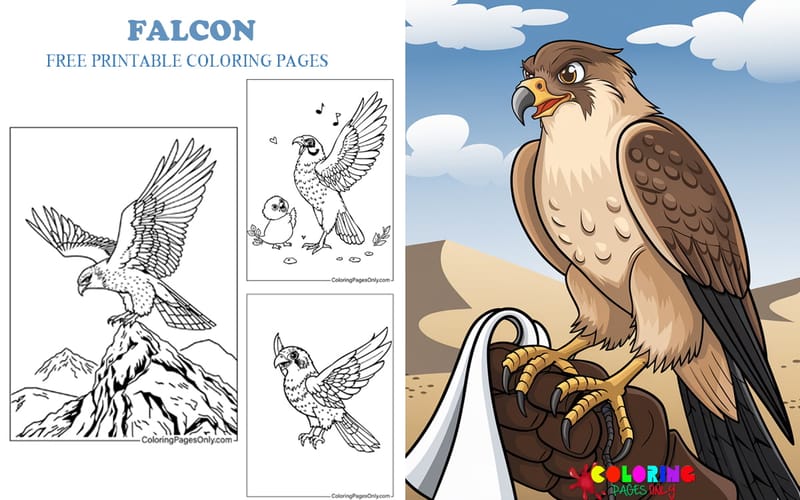 Falcon