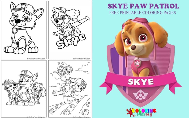 Skye Paw Patrol